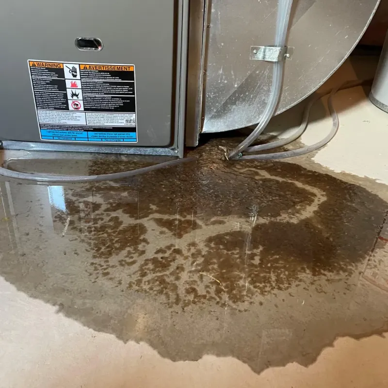 Appliance Leak Cleanup in Carlisle County, KY