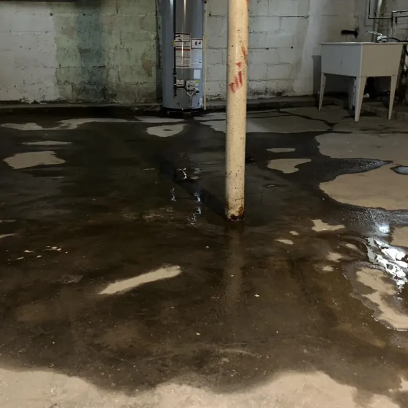 Emergency Water Extraction And Removal in Carlisle County, KY